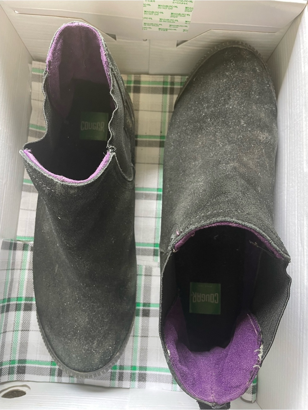 Cougar Black Suede Ankle Slip-On Boots with Purple Interior